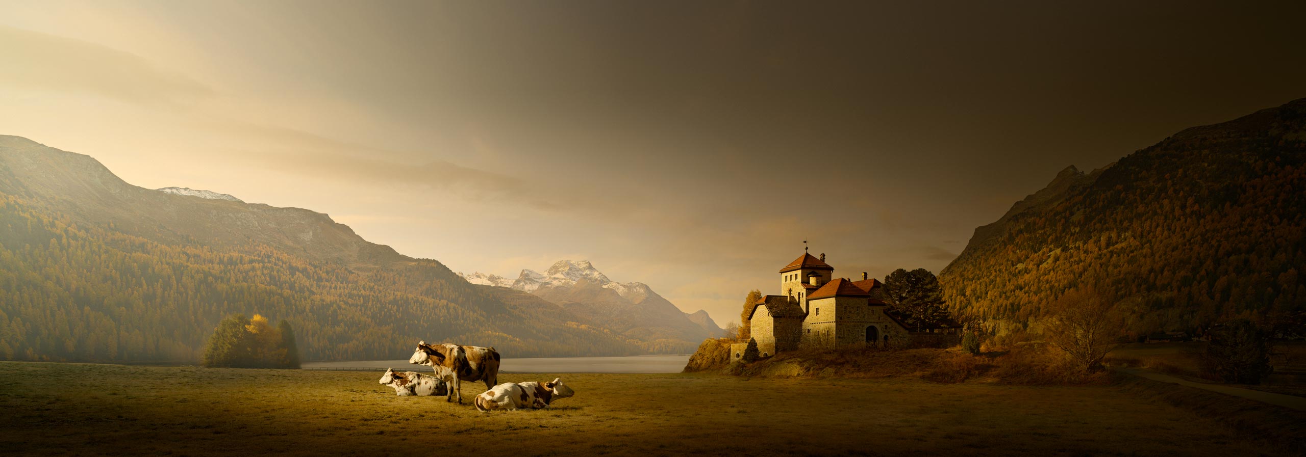 One-to-one photography workshops online and in-person with David Osborn – Personal tuition. Photography courses and Photoshop training.