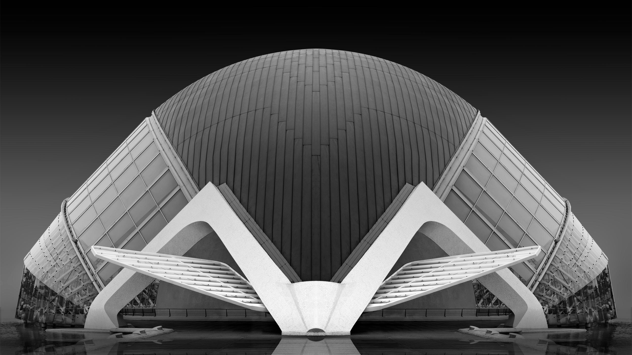 One-to-one photography workshops online and in-person with David Osborn – Personal tuition. Photography courses and Photoshop training.