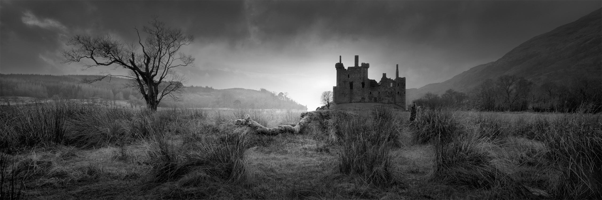 One-to-one photography workshops online and in-person with David Osborn – Personal tuition. Photography courses and Photoshop training.