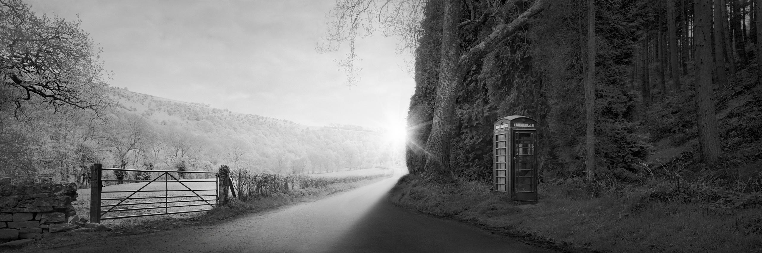 One-to-one photography workshops online and in-person with David Osborn – Personal tuition. Photography courses and Photoshop training.