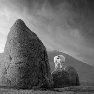 One-to-one photography workshops online and in-person with David Osborn – Personal tuition. Photography courses and Photoshop training.
